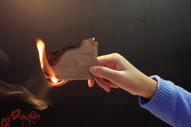 Đốt vía khi mèo đẻ 2