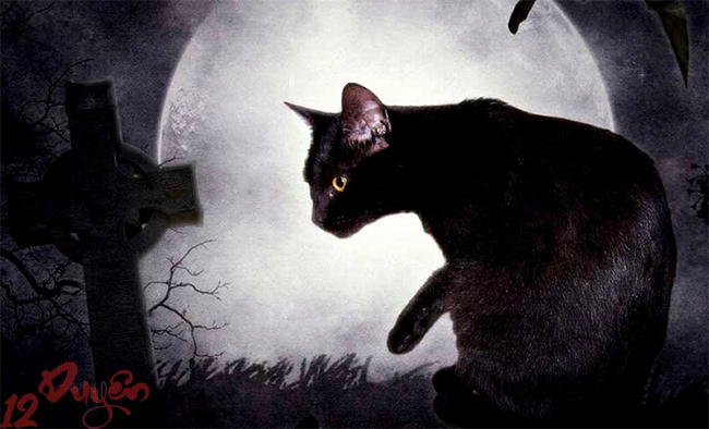 Mèo nhảy qua người chết 2