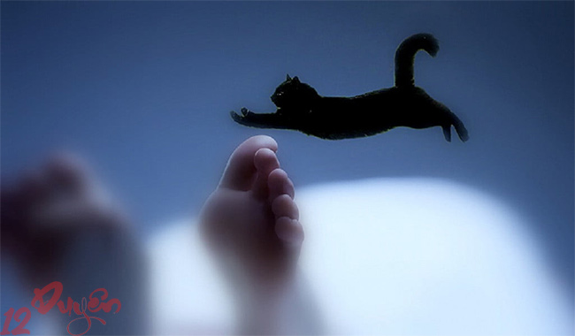 Mèo nhảy qua người chết 3