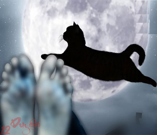 Mèo nhảy qua người chết