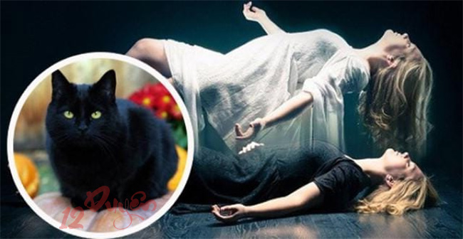 Quỷ Nhập Tràng 2