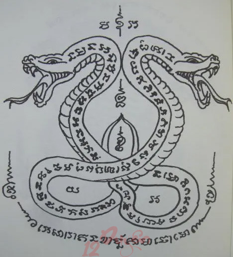 Bùa rắn có thật không 1