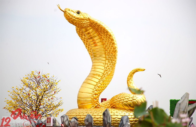 Bùa rắn có thật không 4