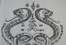 Bùa rắn có thật không