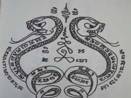 Bùa rắn có thật không