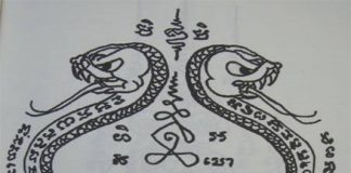 Bùa rắn có thật không