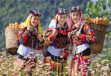 Dơi trong nghi lễ người dân tộc vùng cao có ý nghĩa gì? Dơi trong nghi lễ người dân tộc vùng cao