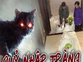 Quỷ Nhập Tràng