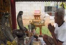 Thờ rắn có tốt không