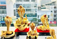 Tượng rắn phong thủy