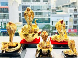 Tượng rắn phong thủy